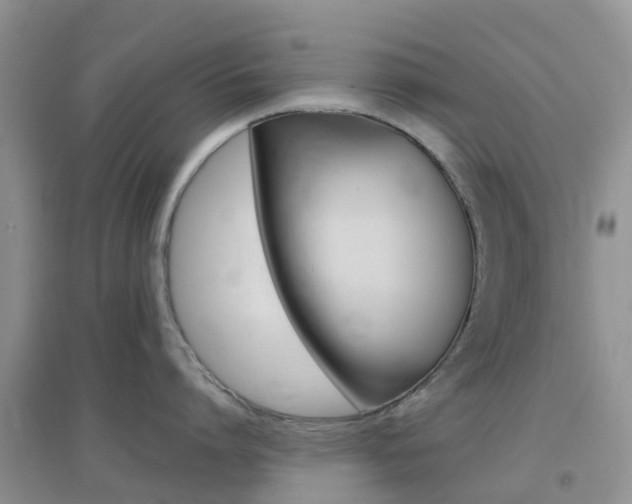 X0000096950864200802080919