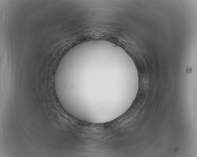 X0000096950865200802080918