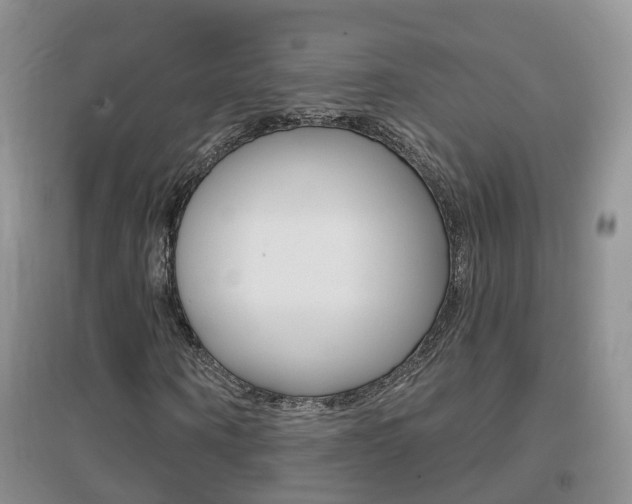 X0000096950866200802080918