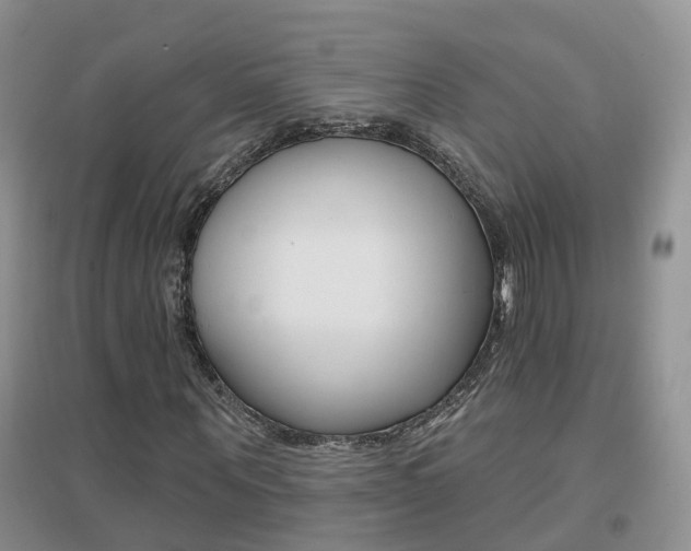 X0000096950867200802080918