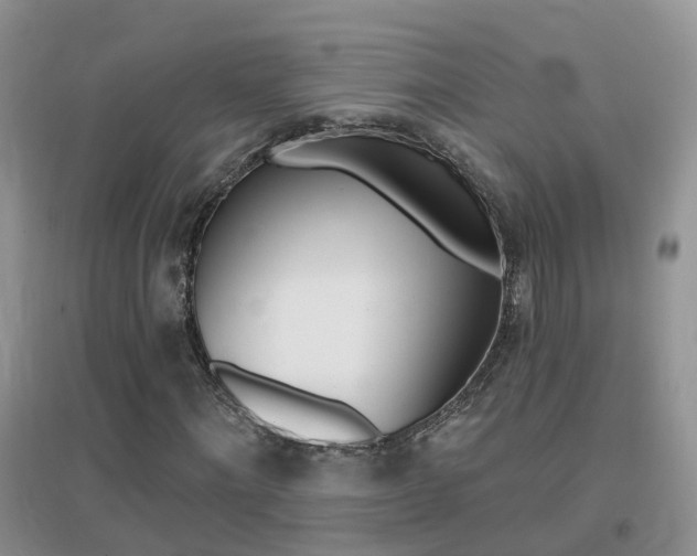 X0000096950868200802080918