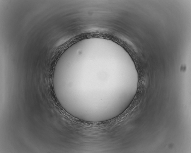 X0000096950869200802080918