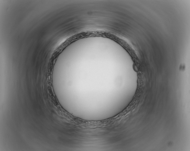 X0000096950871200802080918