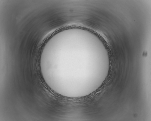 X0000096950872200802080918