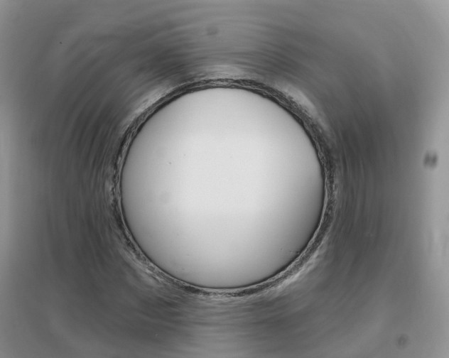 X0000096950873200802080918
