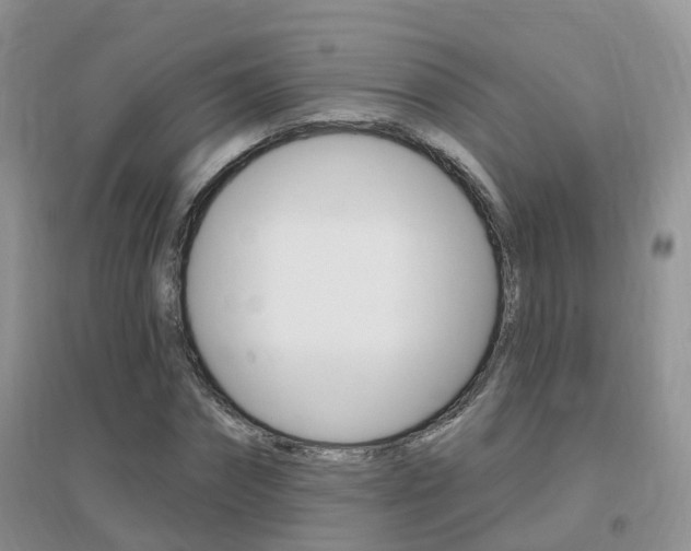 X0000096950874200802080918