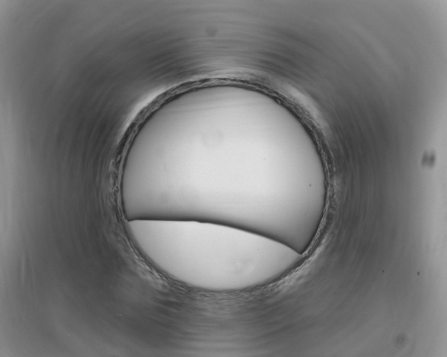 X0000096950875200802080918