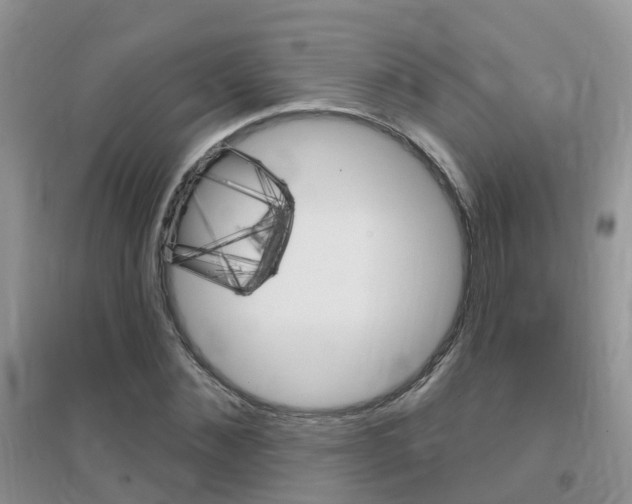 X0000096950876200802080918