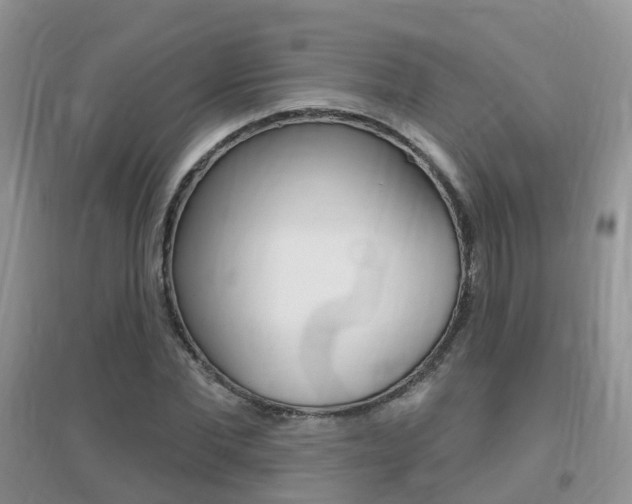 X0000096950877200802080918