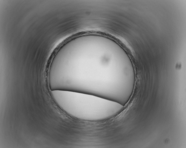 X0000096950879200802080918