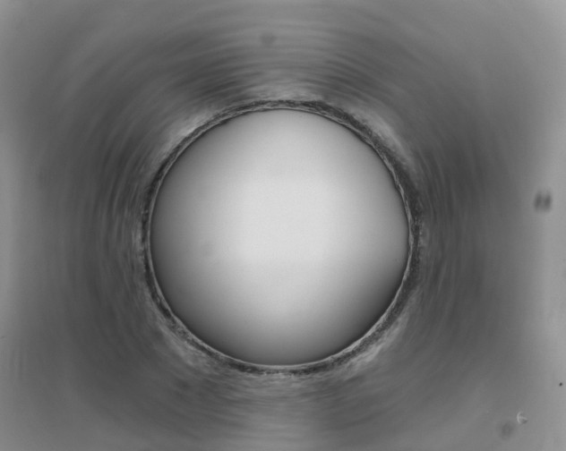 X0000096950881200802080918