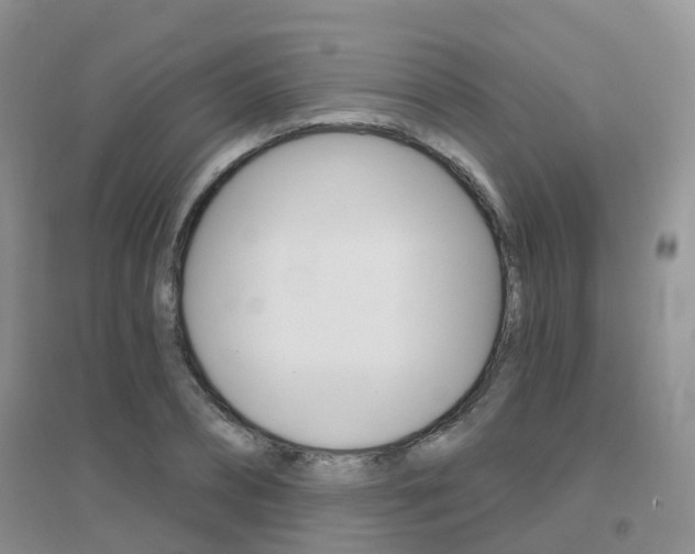 X0000096950882200802080918