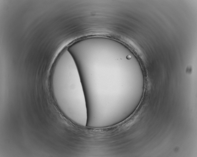 X0000096950883200802080918