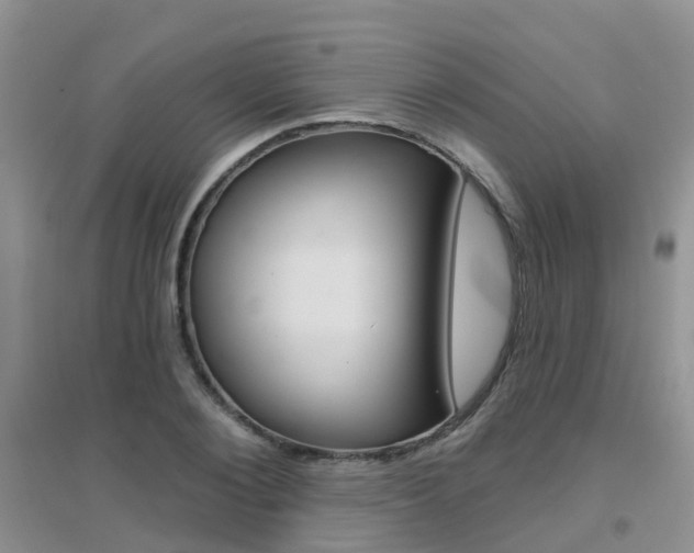 X0000096950884200802080918
