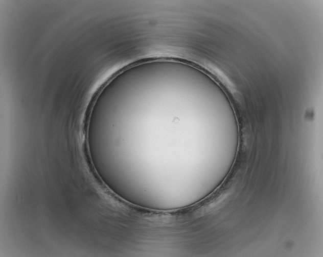 X0000096950885200802080918