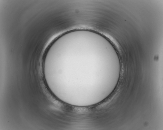 X0000096950886200802080918