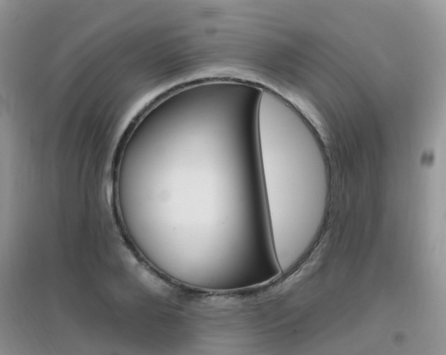 X0000096950888200802080918
