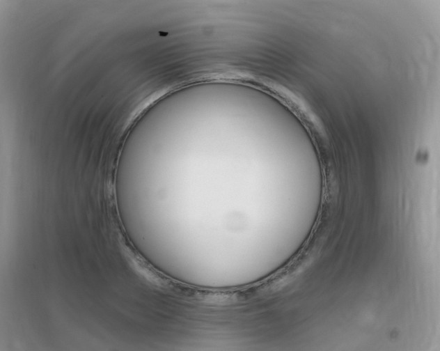 X0000096950889200802080918