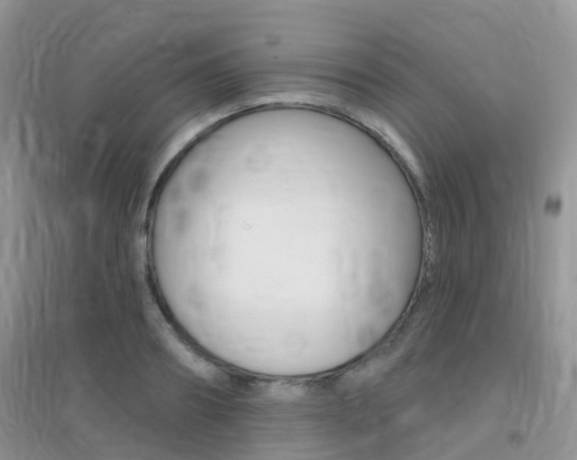 X0000096950890200802080918