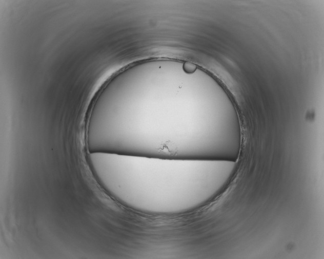 X0000096950891200802080918