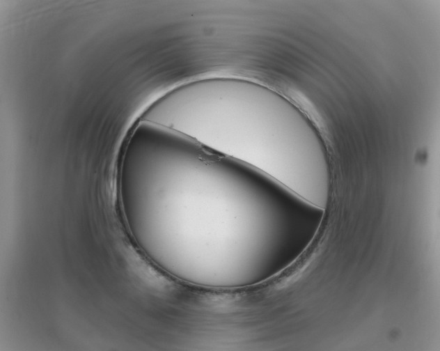 X0000096950892200802080918