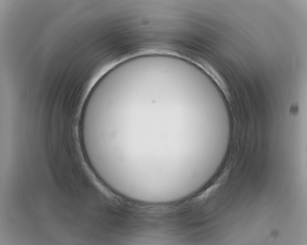 X0000096950893200802080918