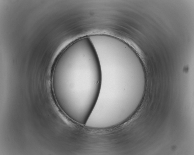 X0000096950894200802080918