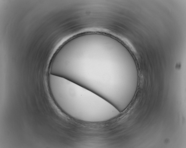 X0000096950895200802080918