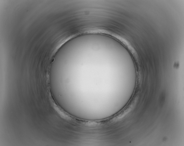 X0000096950897200802080918