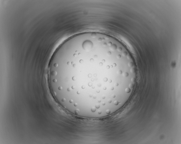 X0000096950899200802080918
