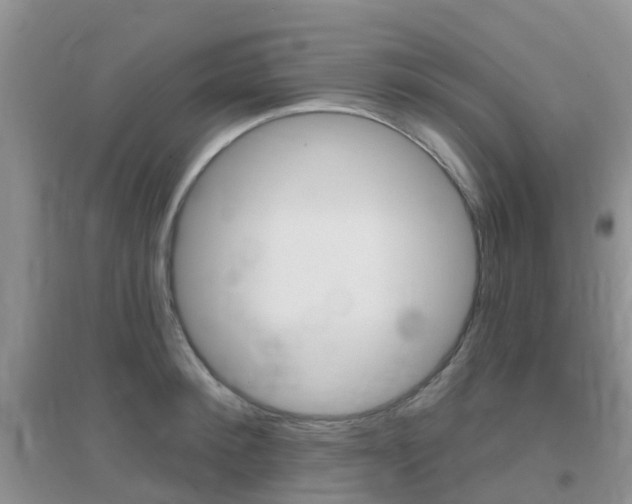 X0000096950900200802080918