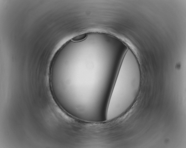 X0000096950902200802080918