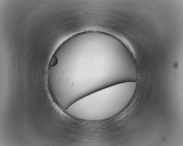 X0000096950903200802080918