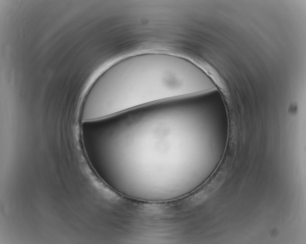 X0000096950904200802080918