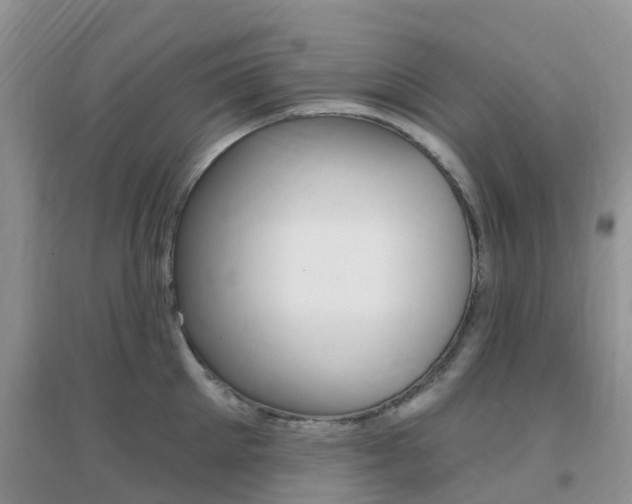 X0000096950905200802080918