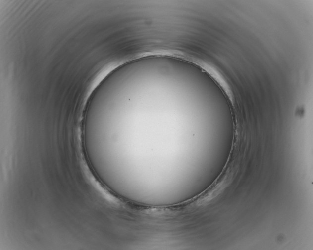X0000096950906200802080918