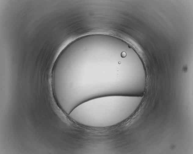 X0000096950907200802080918