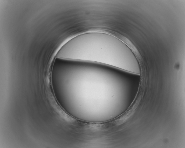 X0000096950908200802080918