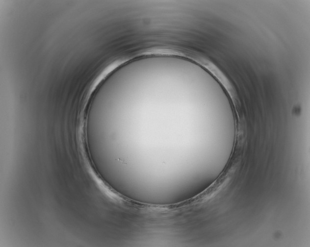 X0000096950909200802080918