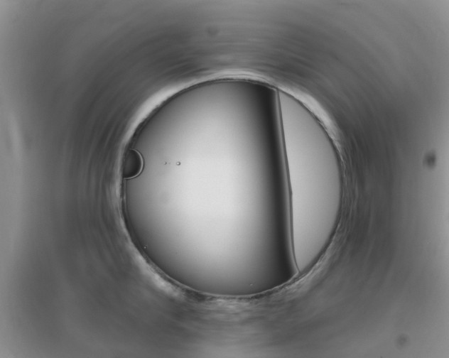 X0000096950910200802080918