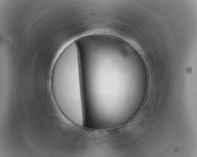 X0000096950912200802080918
