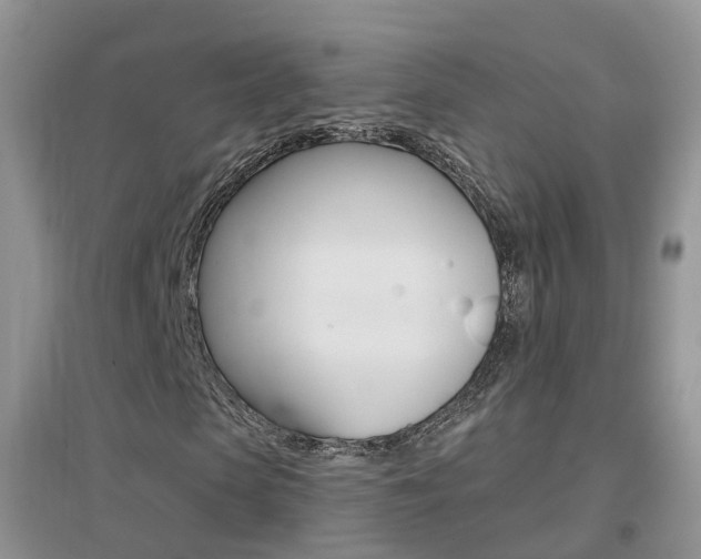 X0000096950913200802080917
