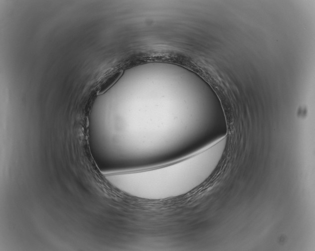 X0000096950916200802080917