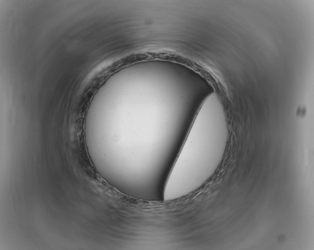 X0000096950920200802080917