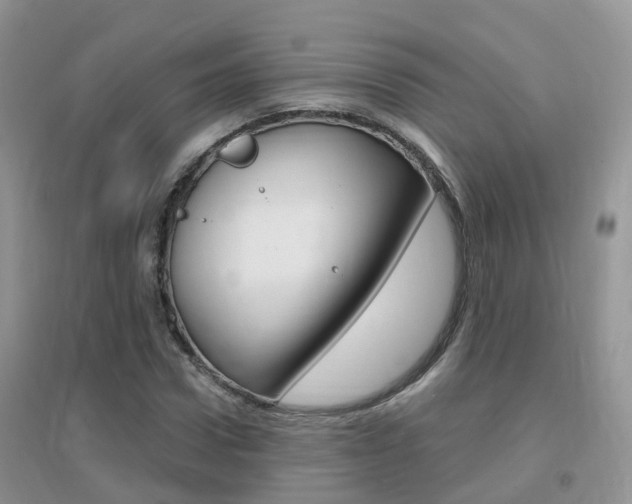X0000096950922200802080917