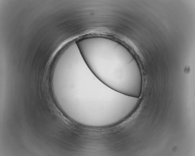 X0000096950923200802080917