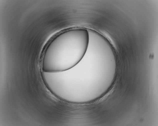 X0000096950924200802080917