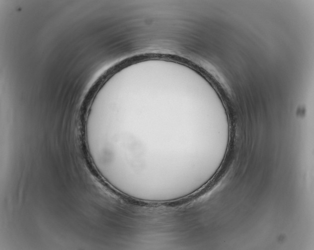 X0000096950926200802080917