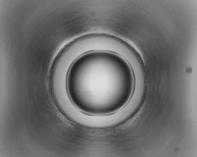 X0000096950927200802080917