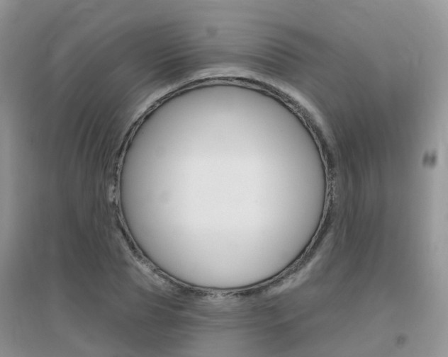 X0000096950929200802080917